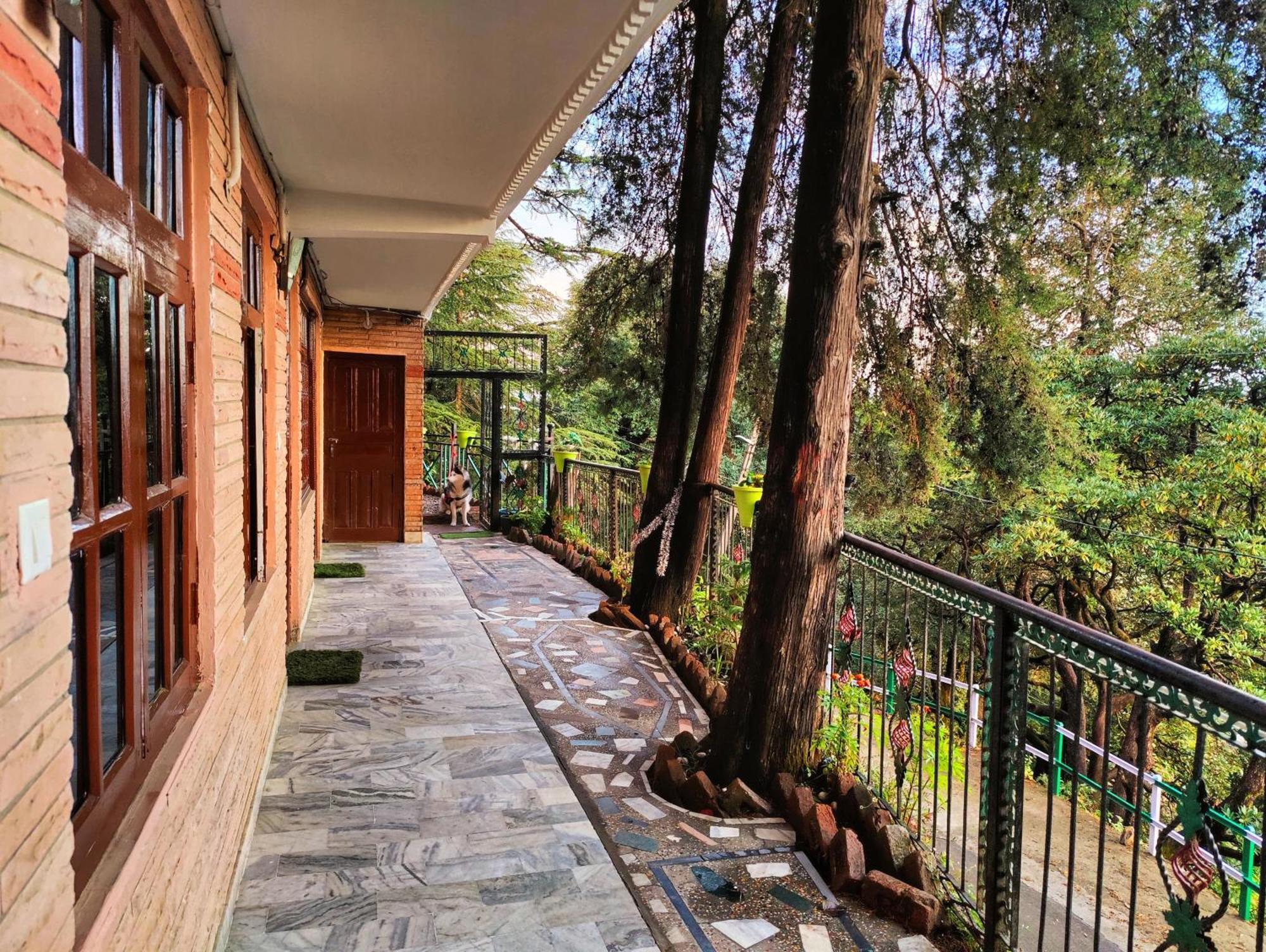 จาคู ไวบ์ส ชิมลา Bed & Breakfast ภายนอก รูปภาพ